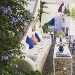 تارا dnwhtv یاسمی - @dickwatts_241915 - Instagram