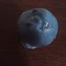 Harry Dick Weiner Sucks Oreo Balls...(Especially the Blue Ones :) - Facebook