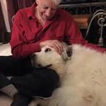 Dick Wilcox - @dickwilcox - Instagram