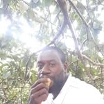 Willard Dickson - @dicksonwillard - Instagram