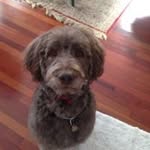 Dick Williamson - @williamson_dick - Instagram