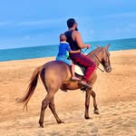 Dickson Williams - @dickwillstravelandtours - Instagram
