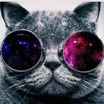 Dick willson - @dickw_illson - Instagram