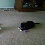 Dick Wilson - @dick.wilson.12 - Instagram