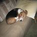 Dick Wimmer - Facebook