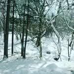 Winters - @dick_winters_gram - Instagram