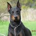 Dick Witt - Facebook
