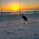 Dick Wittekind - @dickwittekind - Instagram