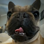 Richard “Dick” Wood - @richard.ernest.the.great - Instagram