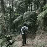 Dicky Hermawan - @dickyenjad_ - Instagram