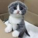 Dick yeung - Facebook