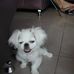 Dick Yeung - Facebook