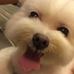 Dick Yip - @d.dickyip - Instagram