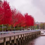 Dickson Huang - Facebook