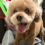 Dickson Lam - @dickson_lam_ - Instagram