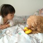 Dicky Fung - @dicky.fung.144 - Instagram