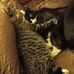 Dicky Johnson - Facebook