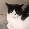 Didier Simon - @didier.simon1 - TikTok
