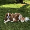 Didier Simon - @didier.simon88 - TikTok