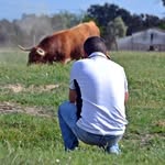 "El Rey De La Dehesa" - @diegoalcalde80 - Instagram