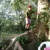 Diego Altamirano - @diegoaltamirano774 - TikTok