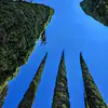 Diego Altamirano Mendez - @diego.altamirano740 - TikTok