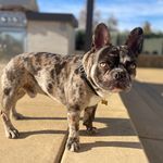 ARCHER - @archer_san_diego - Instagram