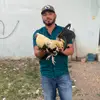 Diego barajas - @ddgk_99 - TikTok
