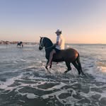 Diego  Bohórquez - @diego_bohorquez12 - Instagram