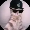 Diego Bonilla - @bonilla23e - TikTok