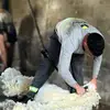 Diego Carballo - @diegocarballo2650 - TikTok