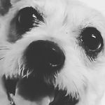 Diego Casillas - @diego.casillas.29 - Instagram