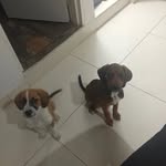 Diego_catano - @diego_catano__ - Instagram