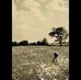 Diego Cataño - Facebook