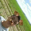 Diego Emiliano Cataño  - @d_emiliano - TikTok