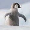 diegocatano2 - @diegocatano2 - TikTok