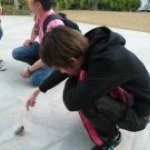 DieGo Chang - @diego_chang - Instagram