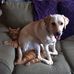 Diego Charles - Facebook