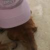 diego.falcon11 - @diego.falcon_ - TikTok