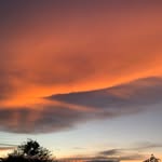diego ferrel - @scarb0yz_photography - Instagram