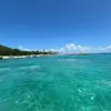 Diego_galicia - @diego_galicia8 - TikTok