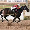 diego🐎 - @diego.galvan396 - TikTok