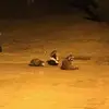 Diego Grimaldo - @_d.grim_ - TikTok