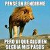 Diego Hoyos - Facebook
