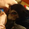 DiegoHunterTeague - @diegohunterteague - TikTok