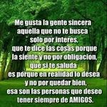 Diego Lemus - @diego_lemus - Instagram