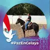 Diego Machuca - @diegomachuca581 - TikTok