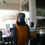 Diego Horner Moore - Facebook