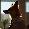 Moore - @diego.moore.anim - TikTok