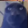 Diego Mujica - @diego_muj1 - TikTok